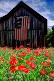 13rustic17.jpg