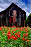 14rustic17.jpg