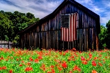 16rustic17.jpg