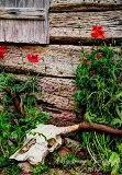22rustic17.jpg