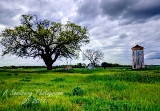 39rustic17.jpg