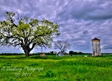 40rustic17.jpg