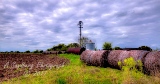 46rustic17.jpg