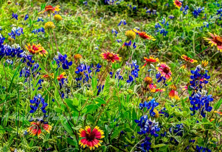 90flowers17.jpg
