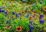 90flowers17.jpg