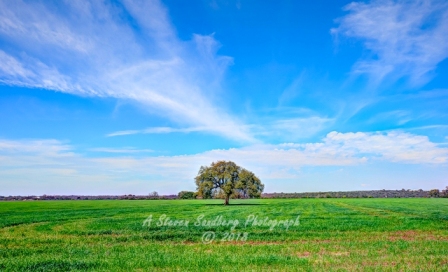 02country18.jpg