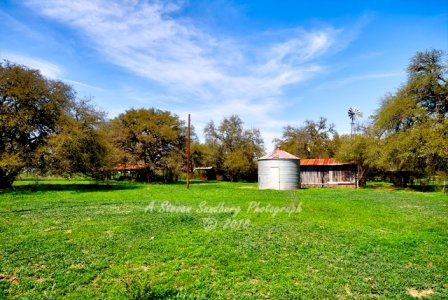 05country18.jpg