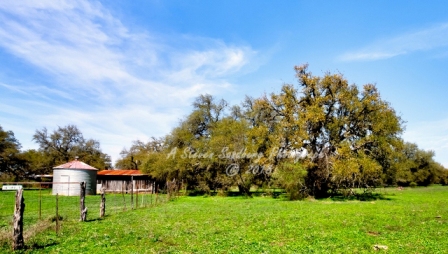 07country18.jpg