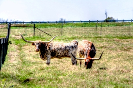 17rustic18.jpg