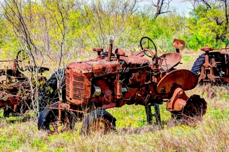 23rustic18.jpg