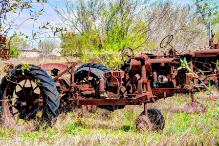 25rustic18.jpg