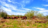 21rustic18.jpg