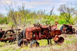 22rustic18.jpg