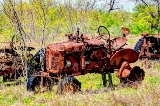 23rustic18.jpg
