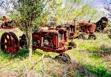 28rustic18.jpg