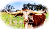 39rustic18.jpg