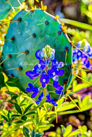 32flower18.jpg