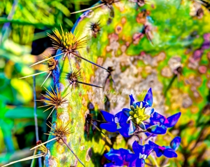 37flower18.jpg