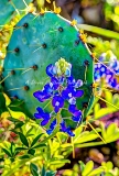 32flower18.jpg