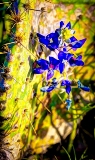 36flower18.jpg