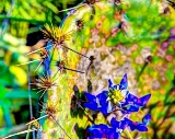 37flower18.jpg