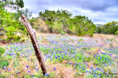 01TX0319.jpg
