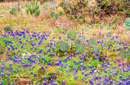 04TX0319.jpg