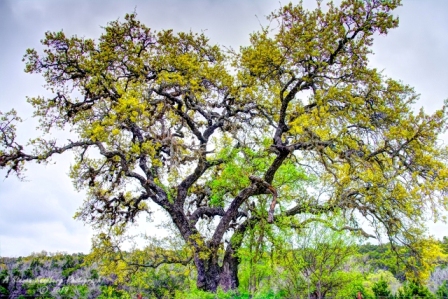 18TX0319.jpg