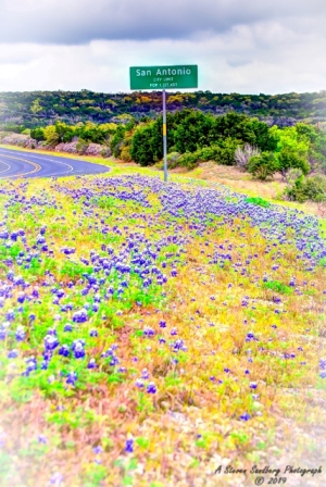 22TX0319.jpg