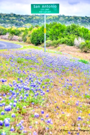 23TX0319.jpg
