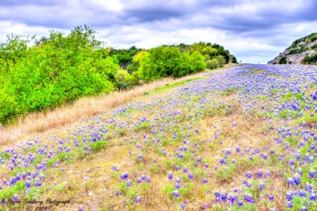 24TX0319.jpg