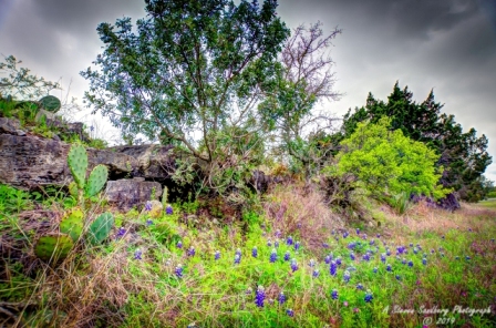 25TX0319.jpg