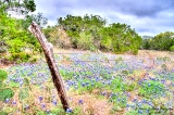 01TX0319.jpg