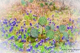 03TX0319.jpg