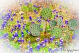 05TX0319.jpg