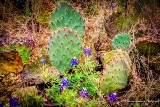 07TX0319.jpg