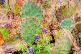 08TX0319.jpg