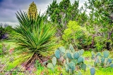 09TX0319.jpg