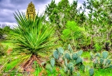 10TX0319.jpg