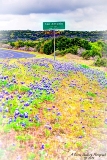 22TX0319.jpg