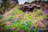 28TX0319.jpg