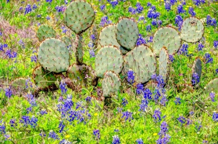 45_27mar20.jpg