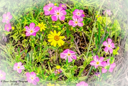 58_27mar20.jpg