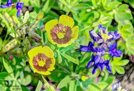 65_27mar20.jpg