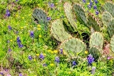 40_27mar20.jpg