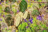 54_27mar20.jpg