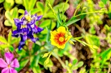 55_27mar20.jpg