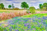 DSC_7290.jpg
