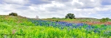 pano1.jpg