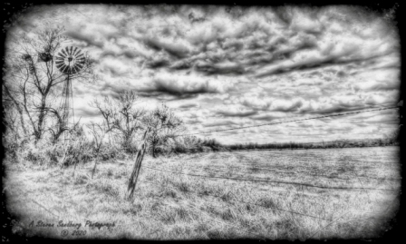 DSC_6988a.jpg